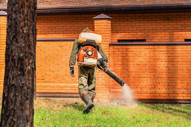 Trusted Emergency Pest Control service in Collingdale, PA - Nex Pest Control